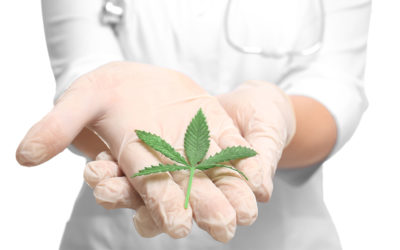 Cannabis For Chronic Pain Relief Without Addiction