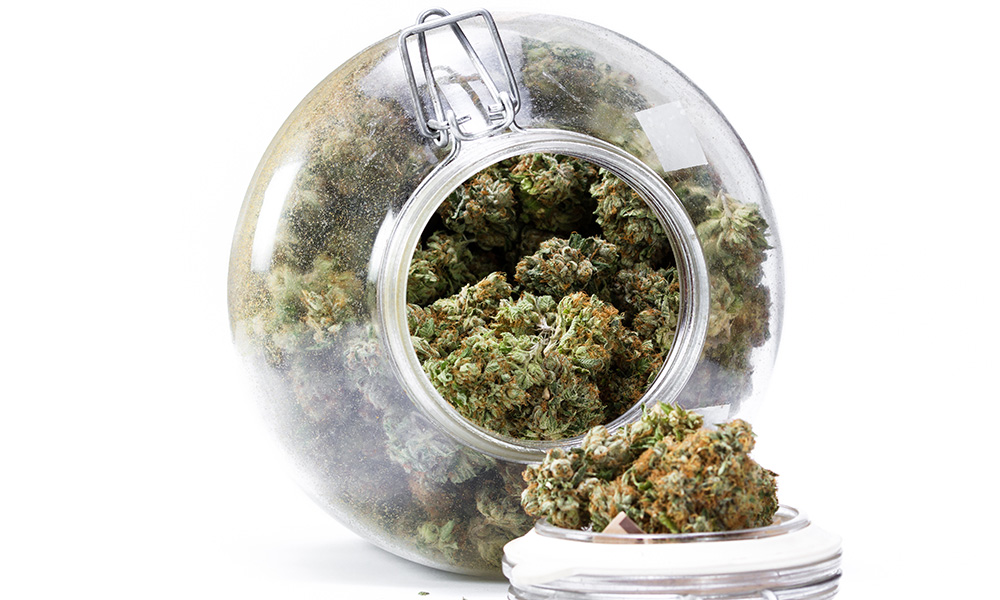 Cannabis Storage Keeping It Fresh