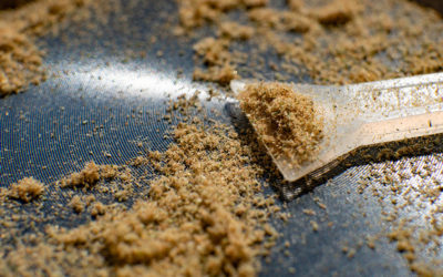 Kief vs Hash What’s The Difference?