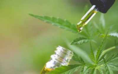 CBD for Diabetes: Can it Help?
