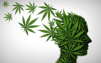 How Does THC Affect The Brain?